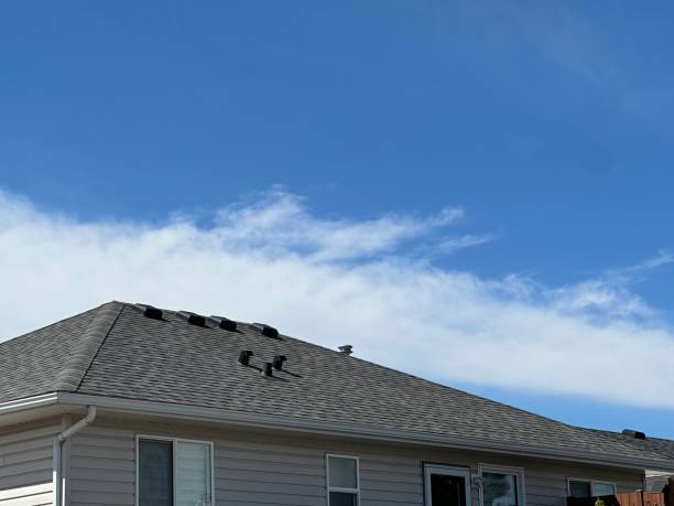 Best Gutter Installation and Repair  in Humboldt, TN